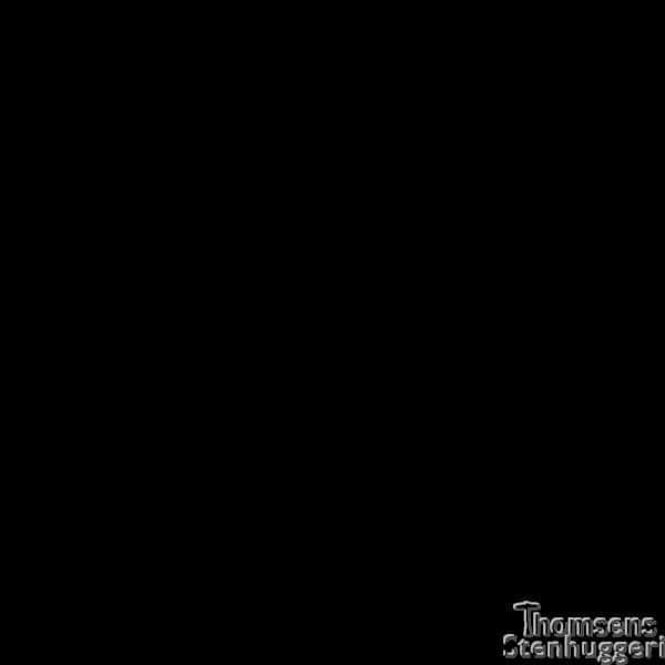 Stentype 6